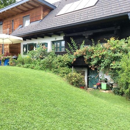 Ferienhaus Blumenparadies שטיינץ מראה חיצוני תמונה